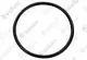 VAILLANT-Dichtung-Revisionsoeffnung-VWF-58-88-118-4-u-w-Vaillant-Nr-0020050744 gallery number 1